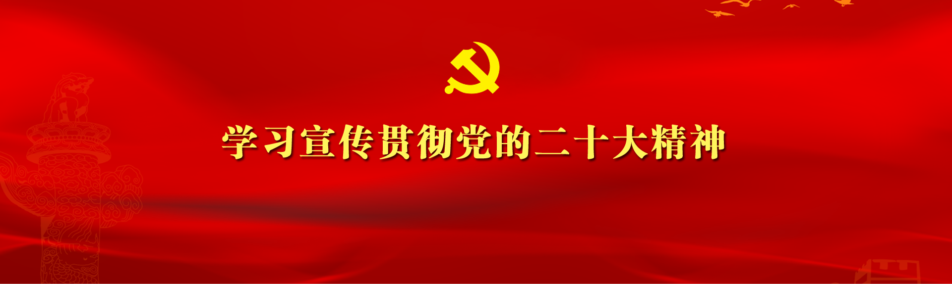 学习贯彻党的二十大精神